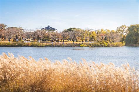 일산호수공원, 도심 속 자연과 문화의 공존